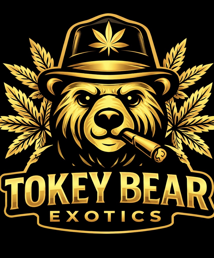 Tokey Bear Exotics
